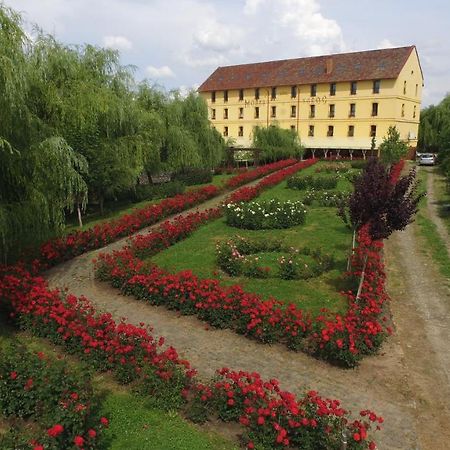 Hanul Moara Cu Noroc Ineu  Exterior photo